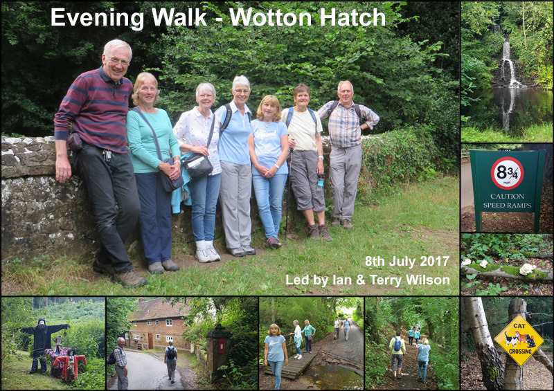 Evening Walk - Wotton Hatch - 12th July 2017